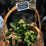 Coffee at Adorned — photo 7